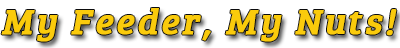 My Nuts